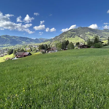 アパート Alpenchalet Haldeli By Interhome