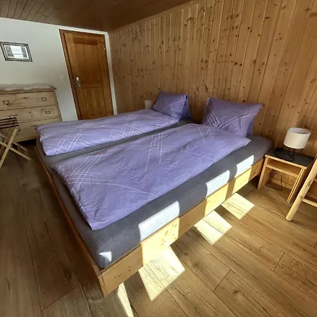 Alpenchalet Haldeli By Interhome アパート グスタード