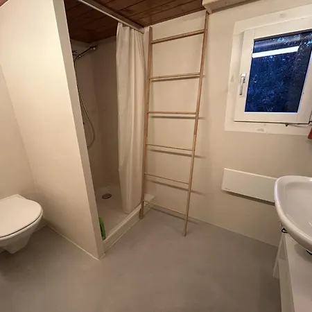 Alpenchalet Haldeli By Interhome Appartamento